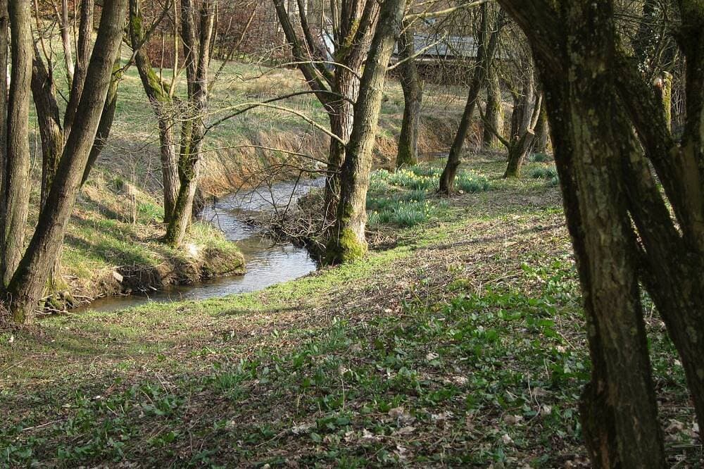 Foto 8 von 30: Großer Garten, in den Bergen, auf dem Land, idyllische Lage, Haust. willkommen