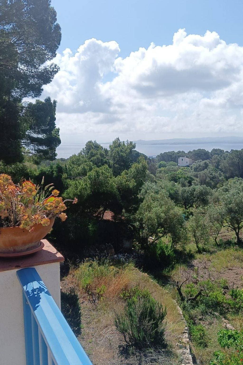 Foto 3 von 15: 'La casa dei Nonni