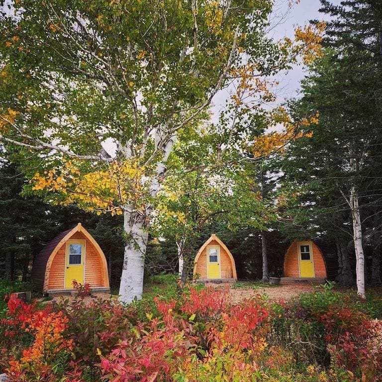 Foto 3 von 6: Mountain Ash Camping Pod at The Spruces
