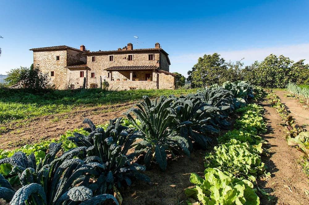 Foto 4 von 22: Palaia Farm - Unterkunft \"Botti\"