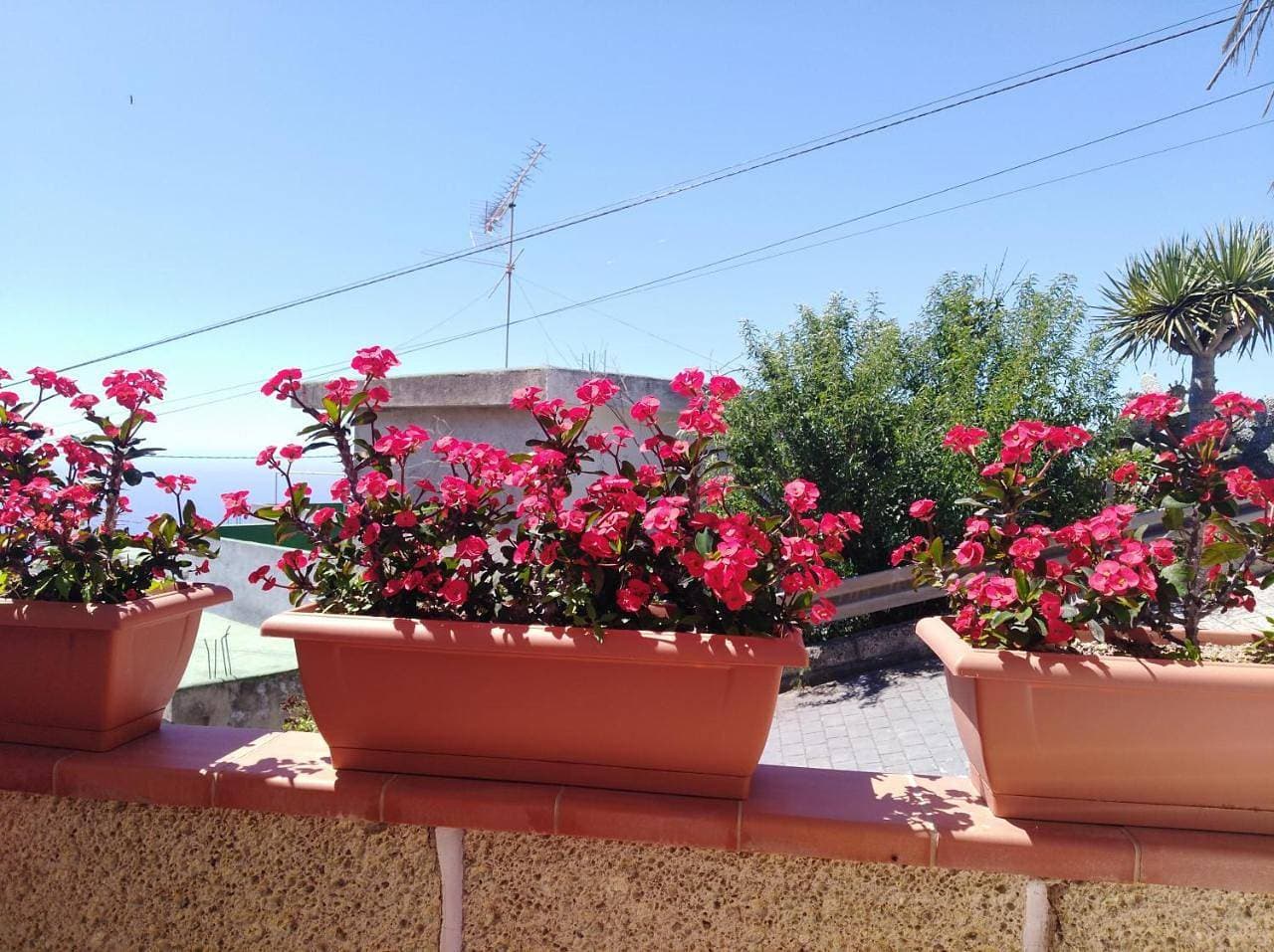 Foto 13 von 53: Holiday Home