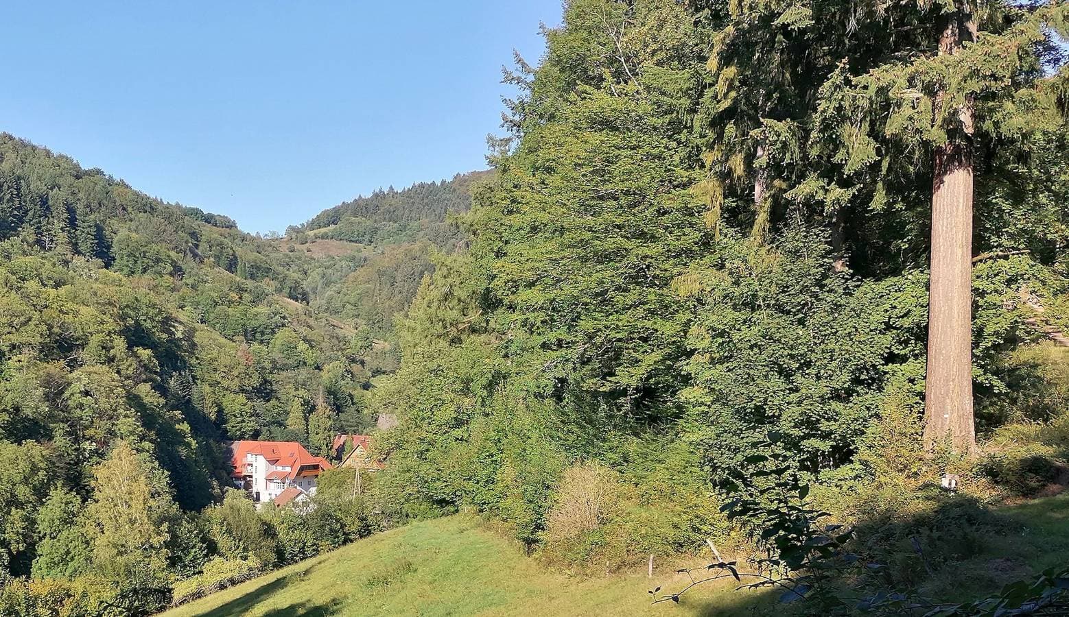Foto 6 von 17: Ferienwohnung Löwenzahn mit Bergblick, Gemeinschaftsterrasse und WLAN