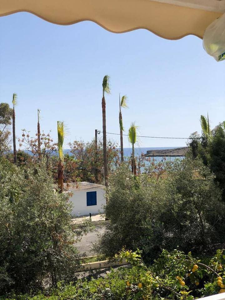 Foto 7 von 17: Villa - Beach Front