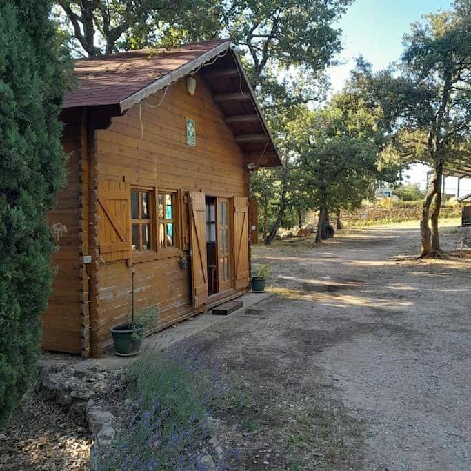 La cabane en bois 1