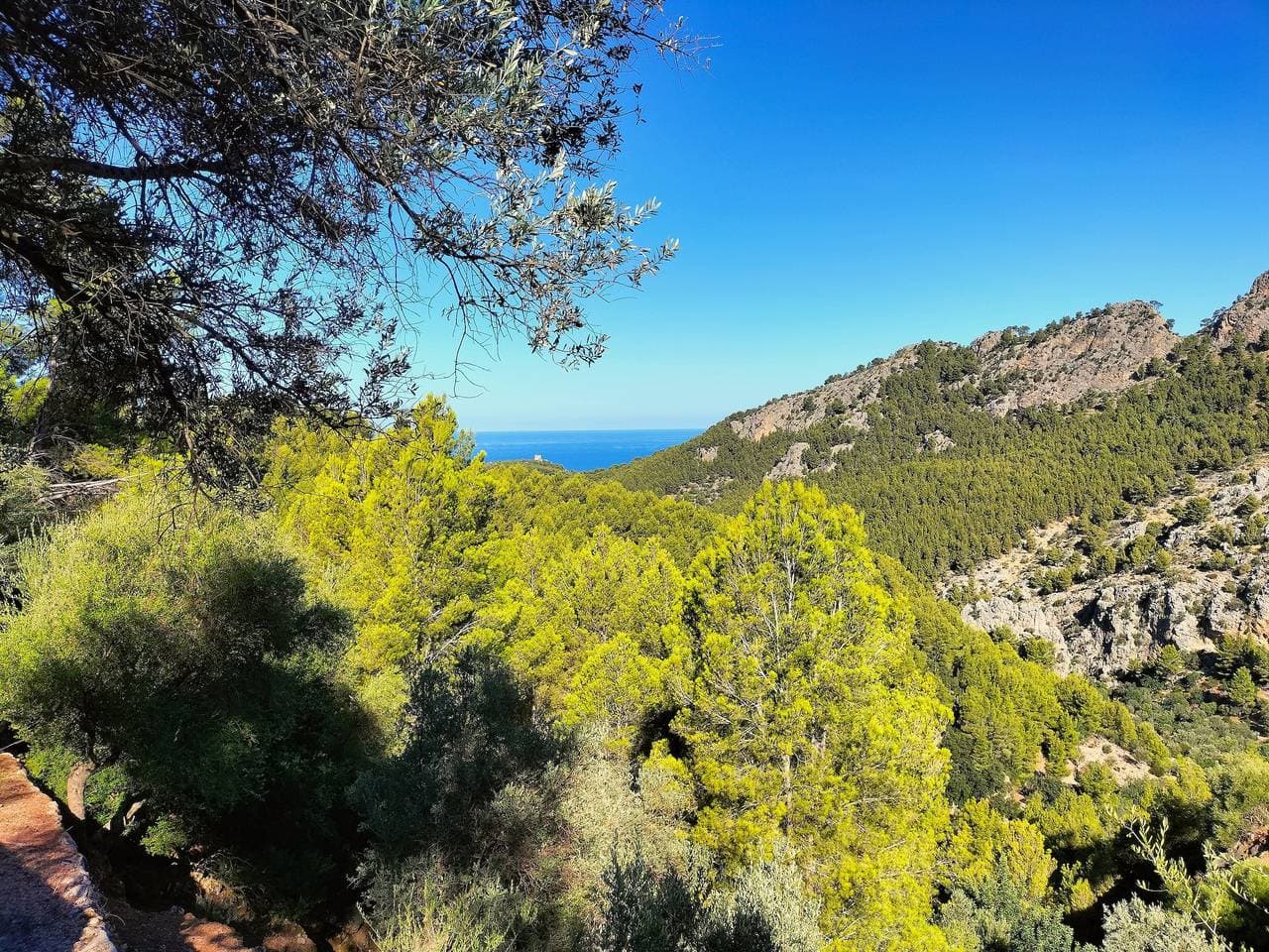 Foto 7 von 33: „Sóller Villa es Coco“ mit Ausblick, privater Terrasse und WLAN