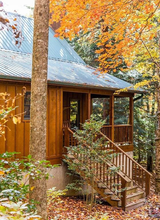 Foto 3 von 42: Gemütliche Berghütte 13 Hektar in der Nähe von Dupont State Forest Wifi