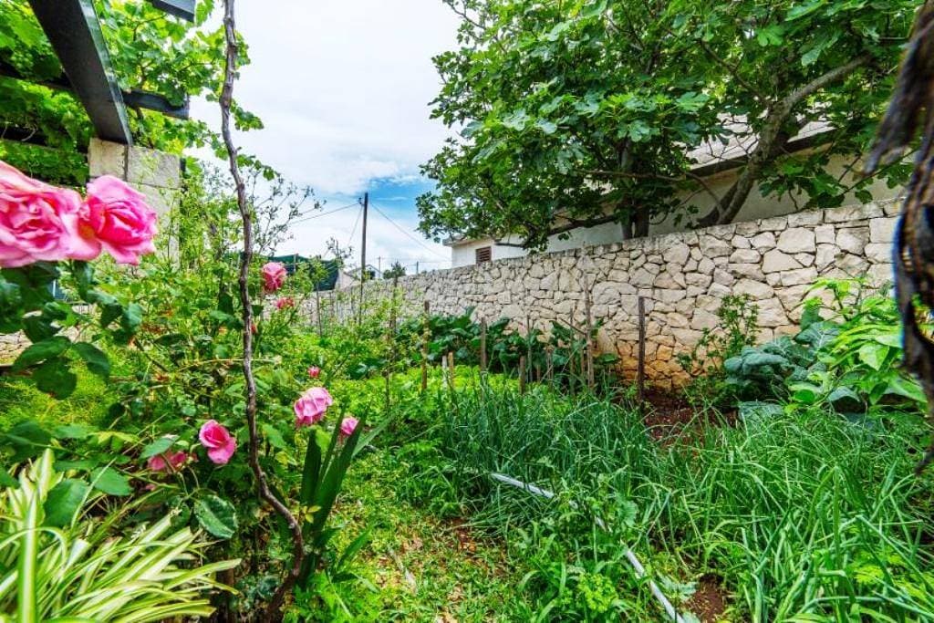Foto 4 von 34: Ferienwohnung in Povlja mit Meerblick, Terrasse, Klimaanlage, W-Lan (4991-2)