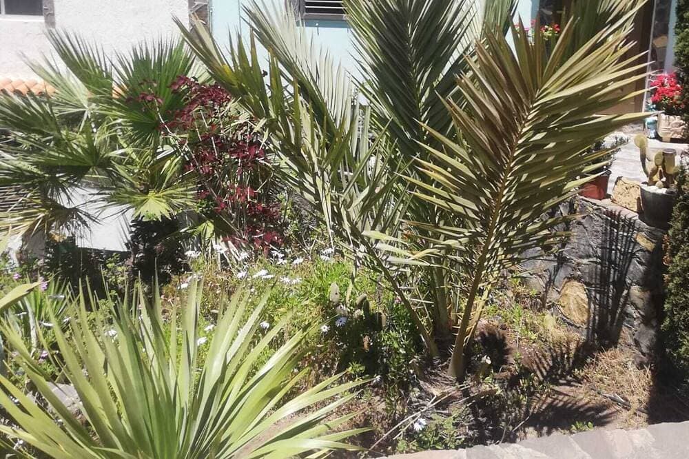 Foto 11 von 30: Apartment mit Liebe und Natur