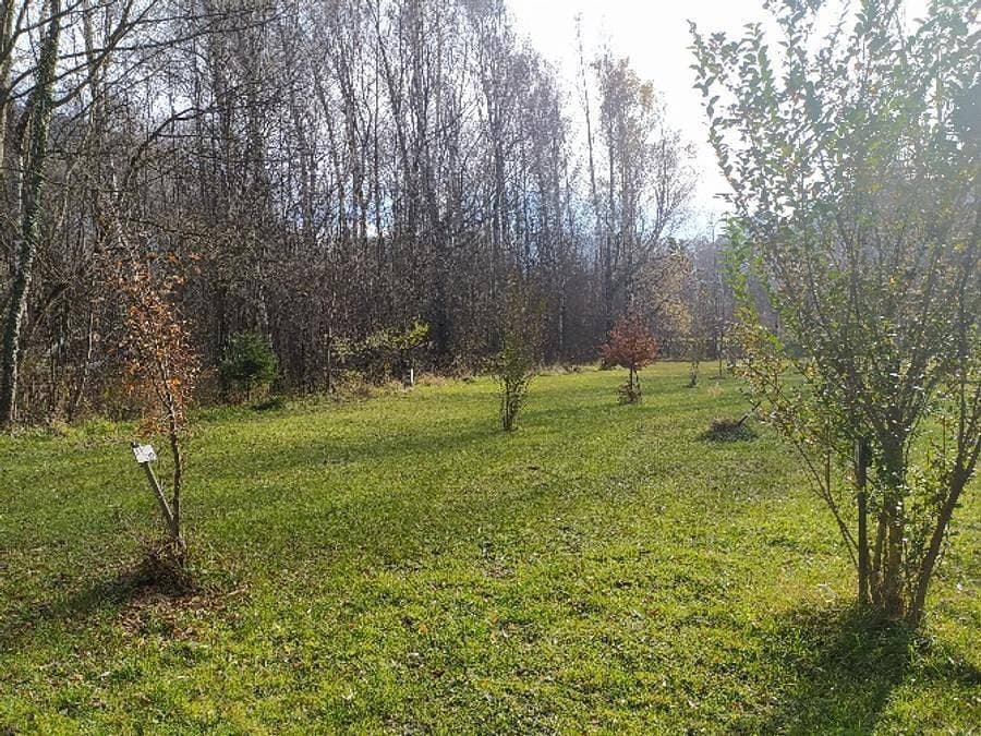 Foto 12 von 28: Camping les Bouleaux - Chalet 2 personen