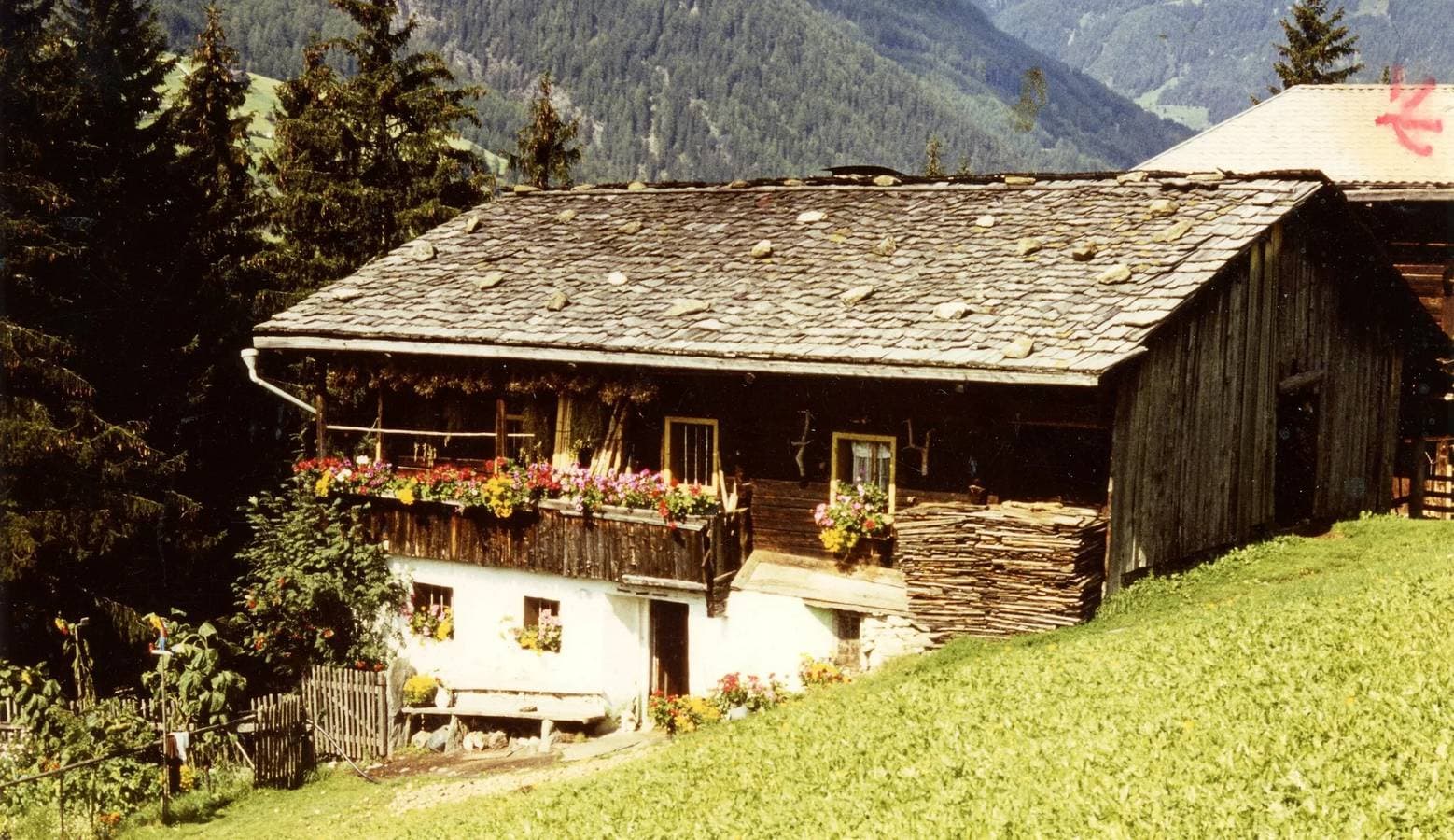 Foto 8 von 18: Ferienwohnung 'Rieplechn App Waldruhe' mit Bergblick, Gemeinschaftsgarten und Wi-Fi