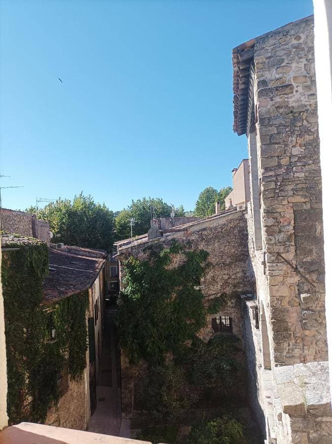 Gîte L'Olivier 1