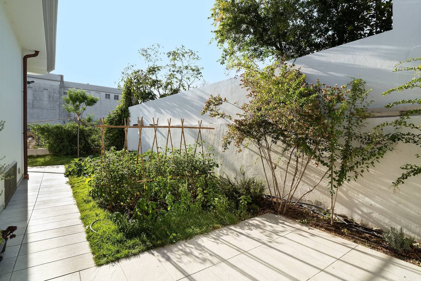 Foto 7 von 27: Ferienhaus 'Domo Bonaeras' mit Bergblick, WLAN und Klimaanlage