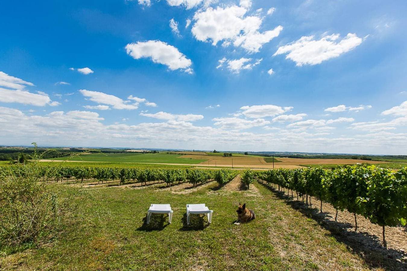 Foto 13 von 26: La Cabane du Vigneron