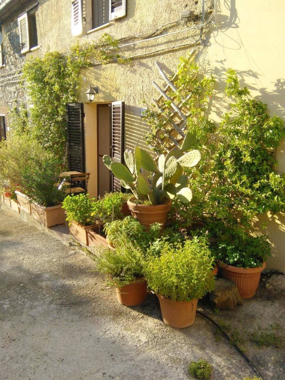 Foto 5 von 58: Holiday Home