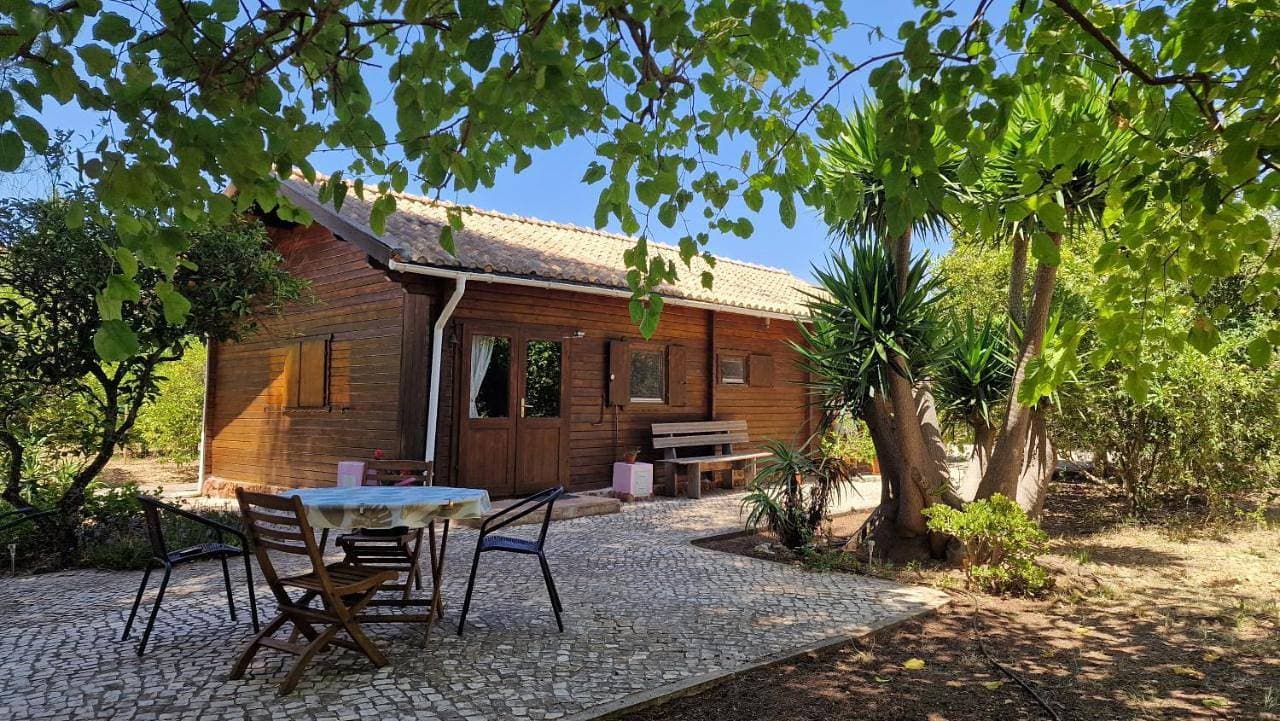 Chalet Villa Mosquito 1