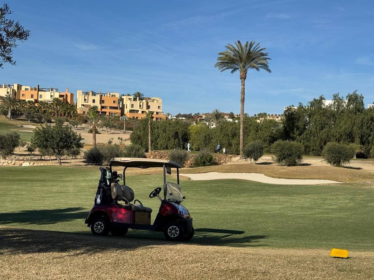Altos de Vera II- Ático con vistas espectaculares al campo de golf Valle del Este 1