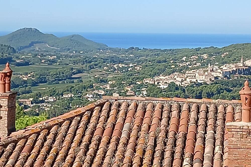 Foto 9 von 12: A Stop in the Var: Vineyards & Ocean Views in Le Castellet