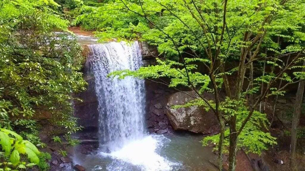 Foto 11 von 16: Aufenthalt in Ohiopyle neben dem Gap Trail