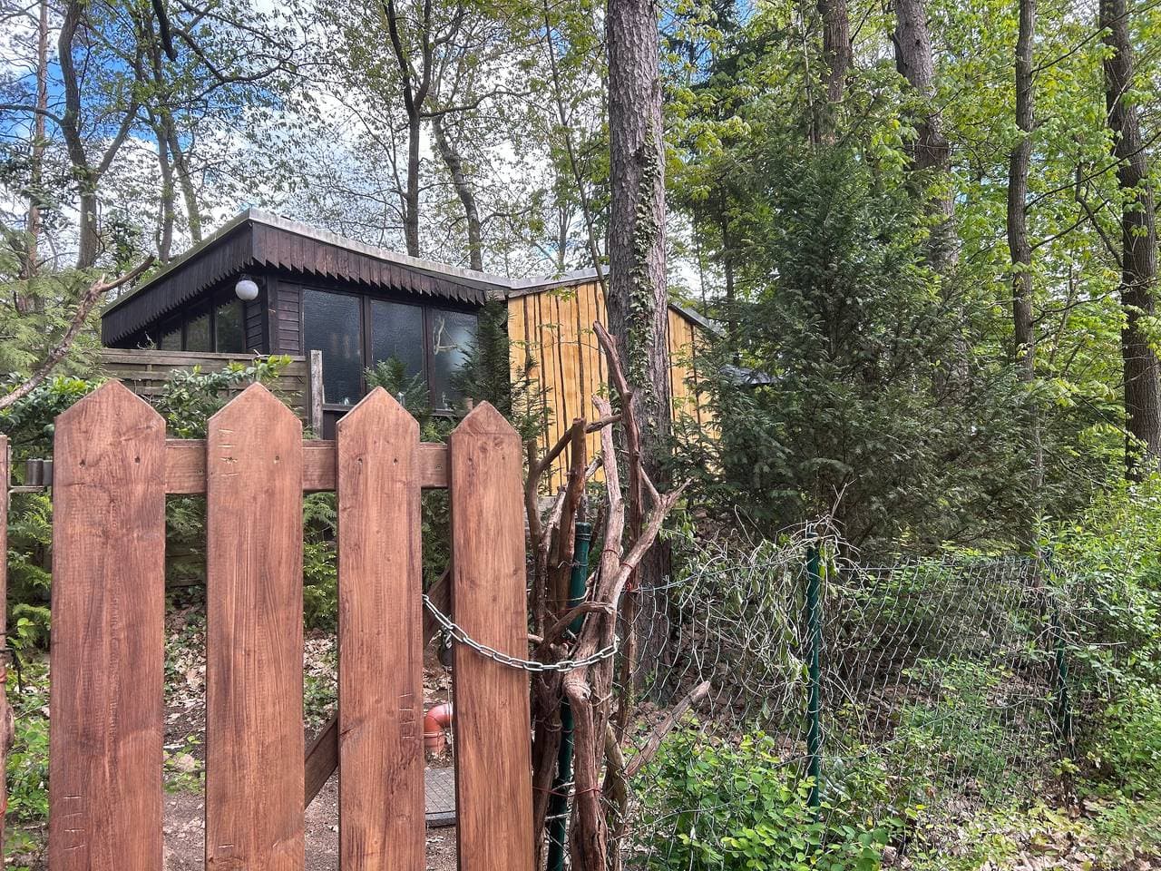 Foto 13 von 41: Gemütlicher Rückzugsort im Wald - direkt am Silbersee bei Coswig (Anhalt)
