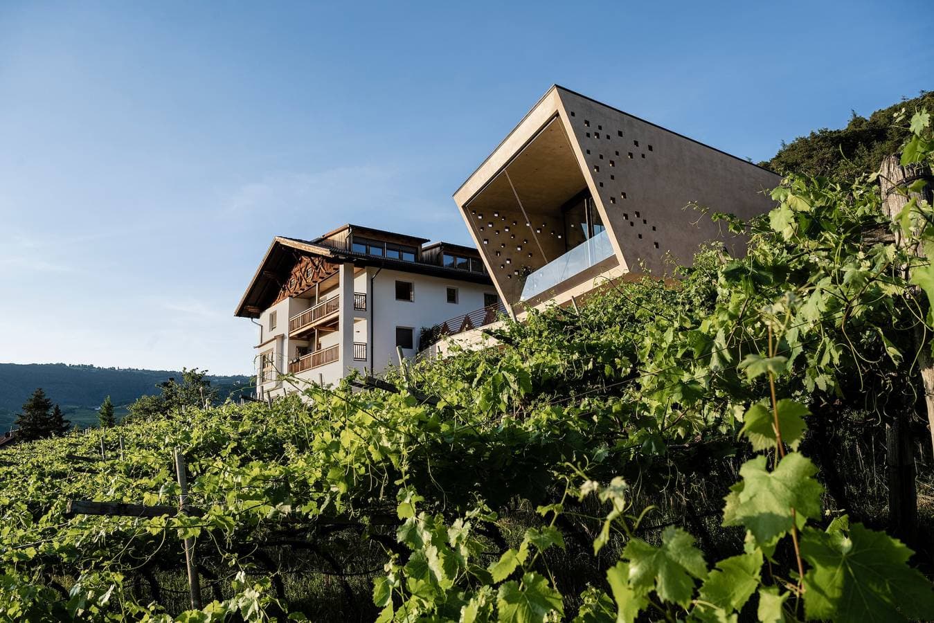 Apartments Gojer Sauvignon 1