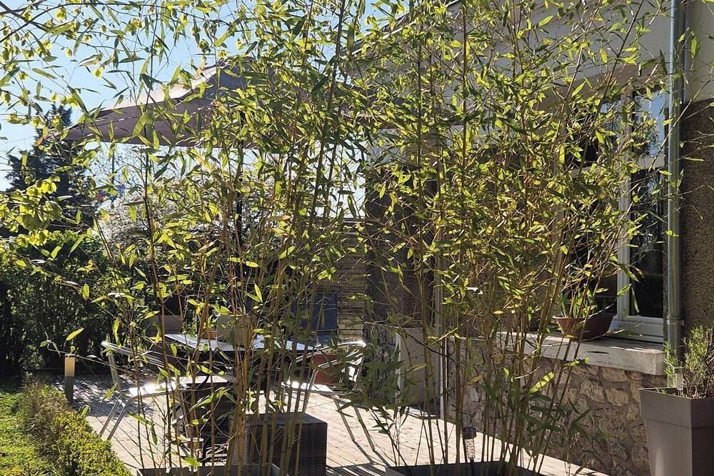 Foto 10 von 30: Amboise, entzückendes Haus mit Klimaanlage.