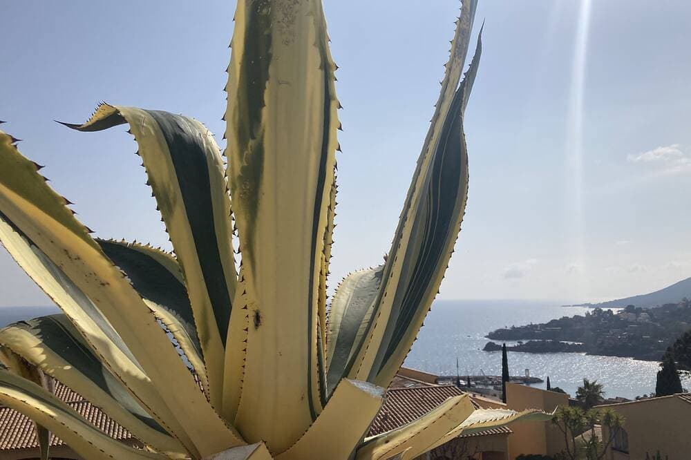 Foto 7 von 15: Séjour de Rêve sur la Côte D'azur