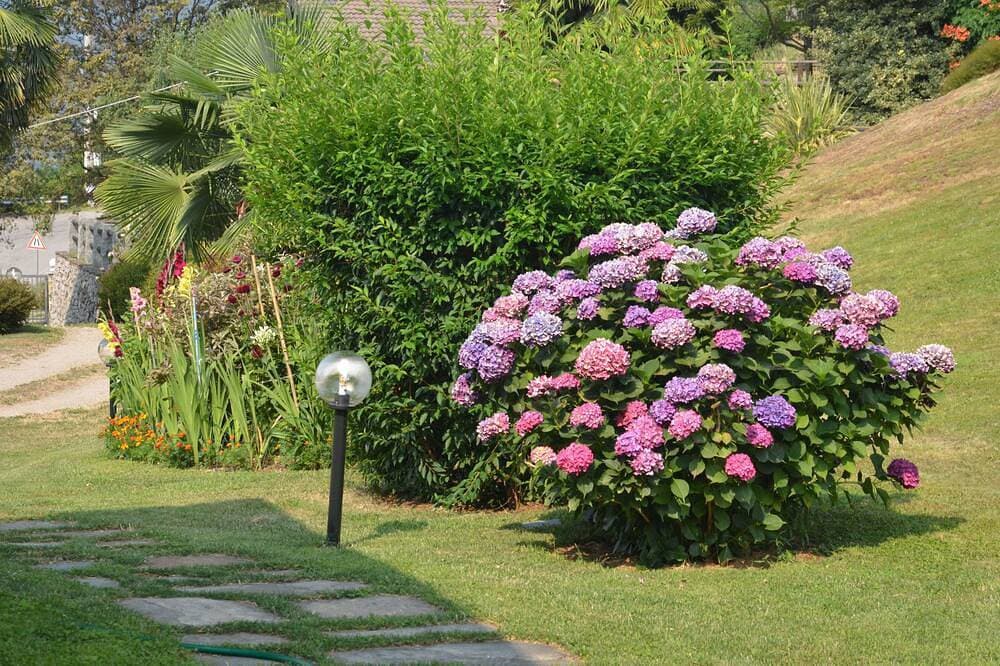 Foto 12 von 19: Haus mit großem Garten mit Blick auf den Lago Maggiore