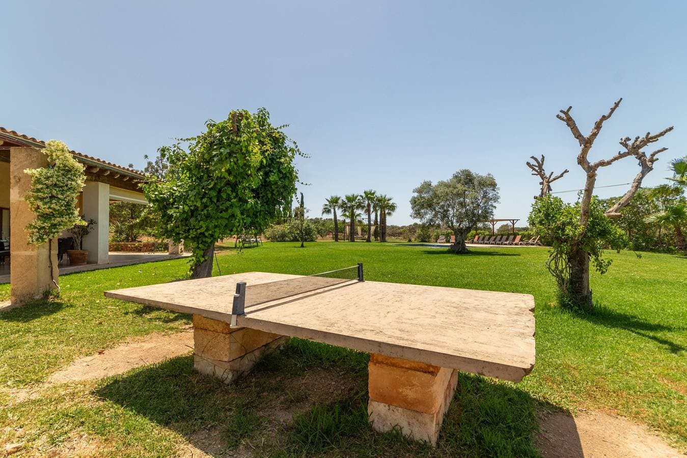 Foto 5 von 45: Saperla, Finca 5StarsHome Mallorca