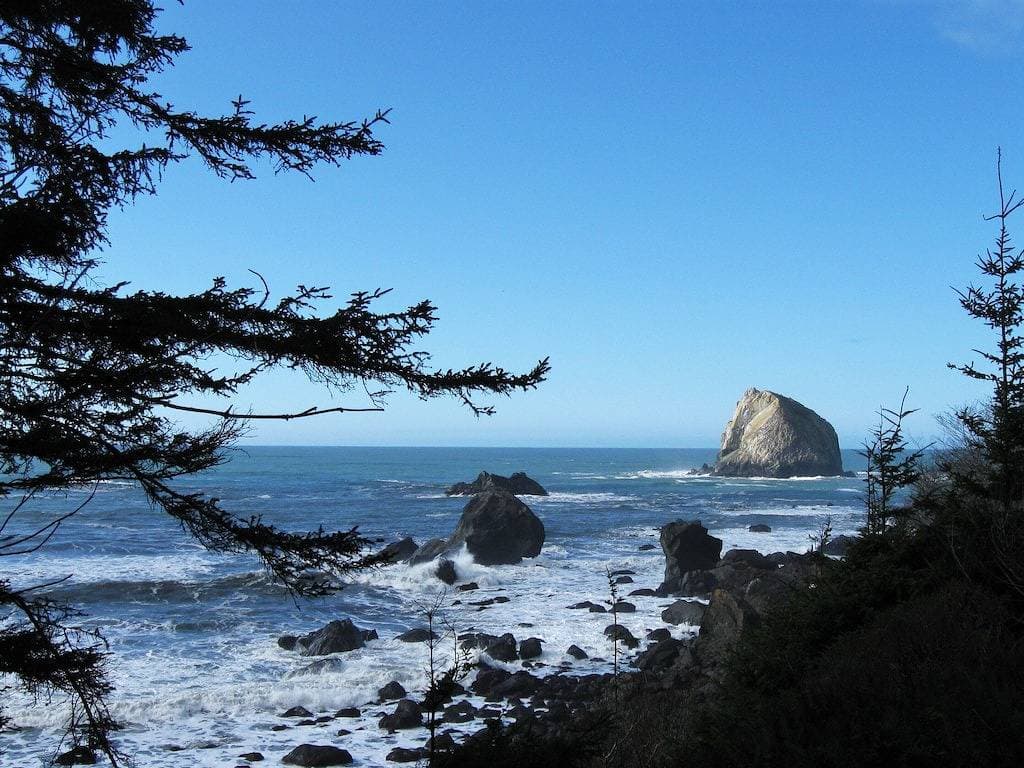 Foto 6 von 23: Lighthouse View Beach Cottage - Great Ocean View - die Redwoods sind nur eine kurze Autofahrt entfernt
