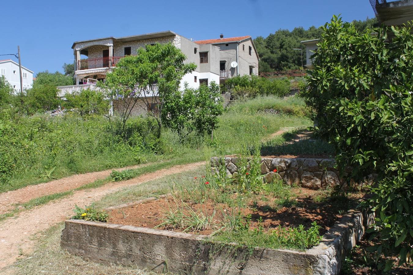 Foto 6 von 24: 1-Zimmer-Ferienwohnung mit Terrasse Jelsa, Hvar -a