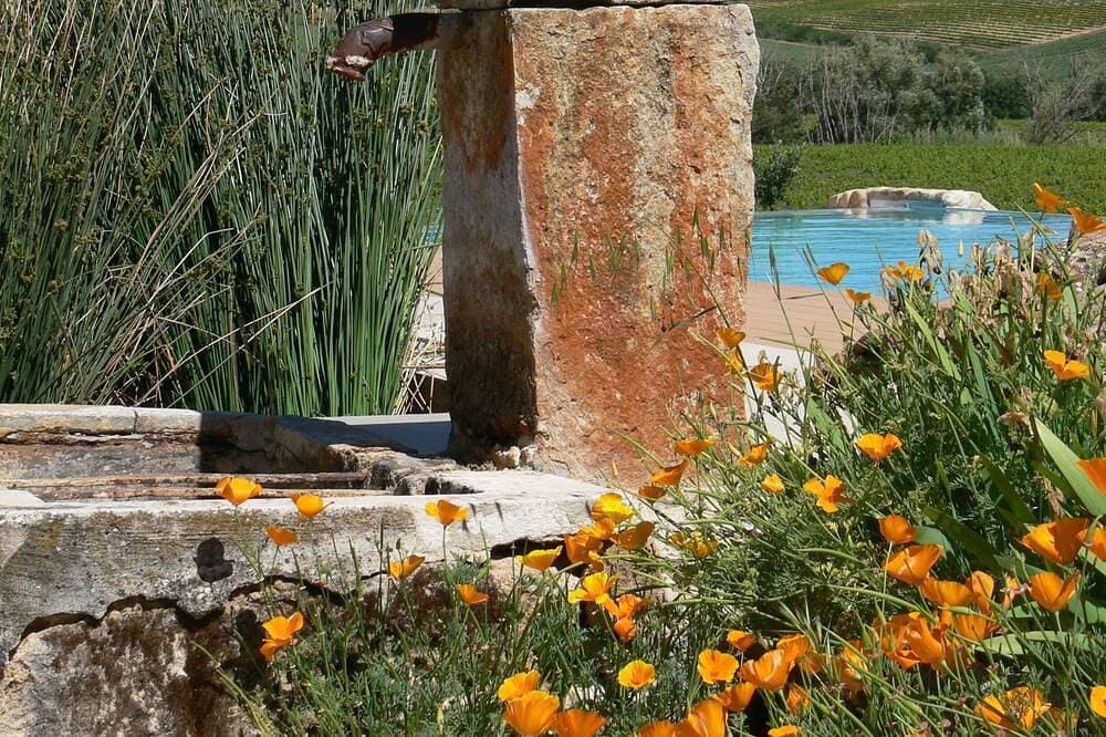 Foto 8 von 18: Les Pré-Alpes, Wohnung mit Pool auf Weinberg in Drome Provençale