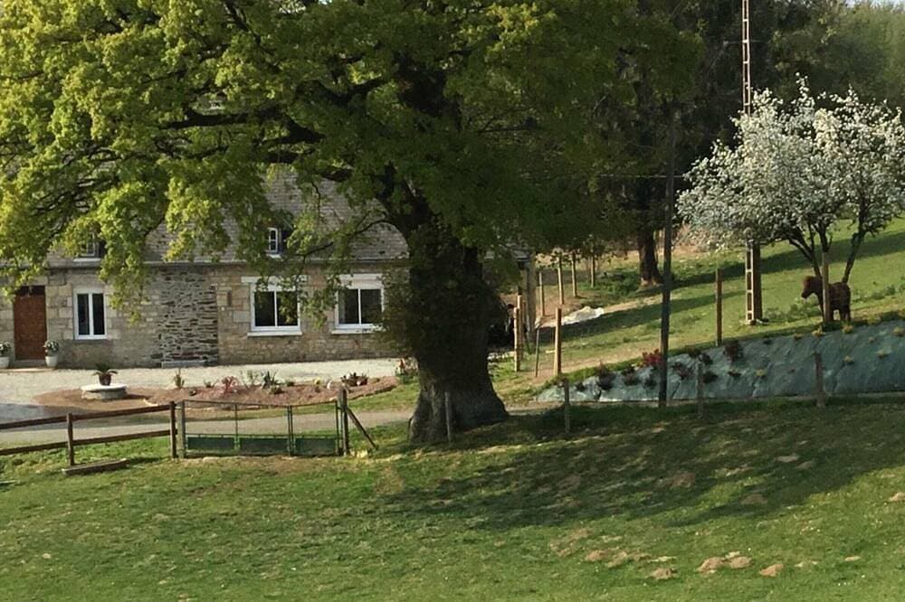 Foto 10 von 22: Charmantes Haus mit Garten, nahe Bagnoles
