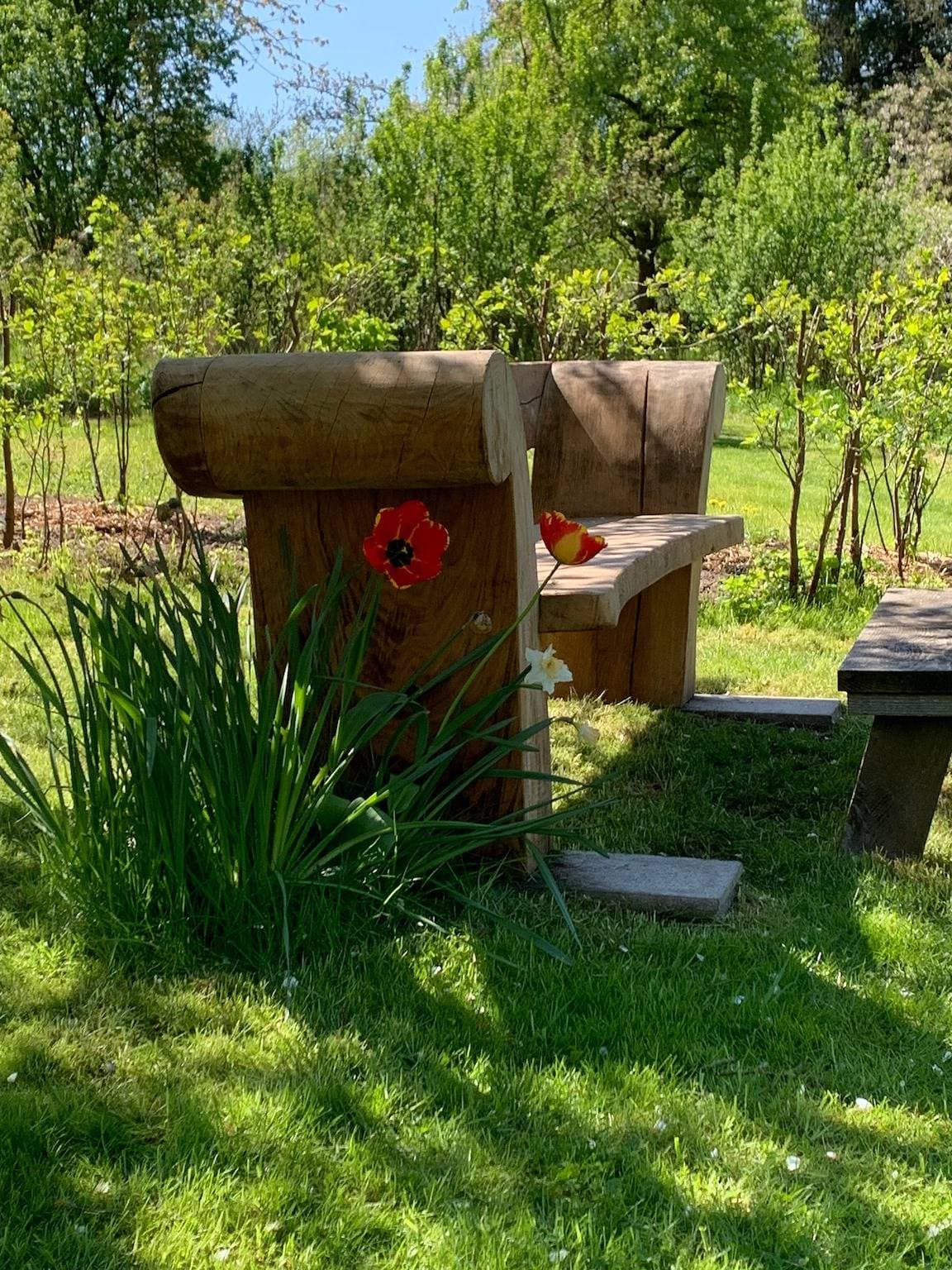 Foto 2 von 19: " Das Sommerhäuschen" es ist ein mit viel Liebe und Leidenschaft gebautes kleines Schmuckstück.