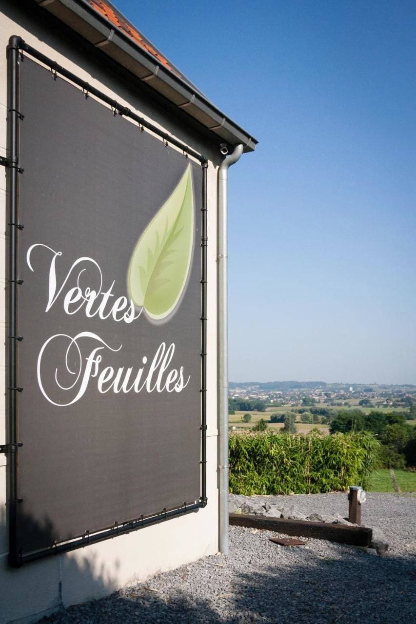 Vertes Feuilles 1