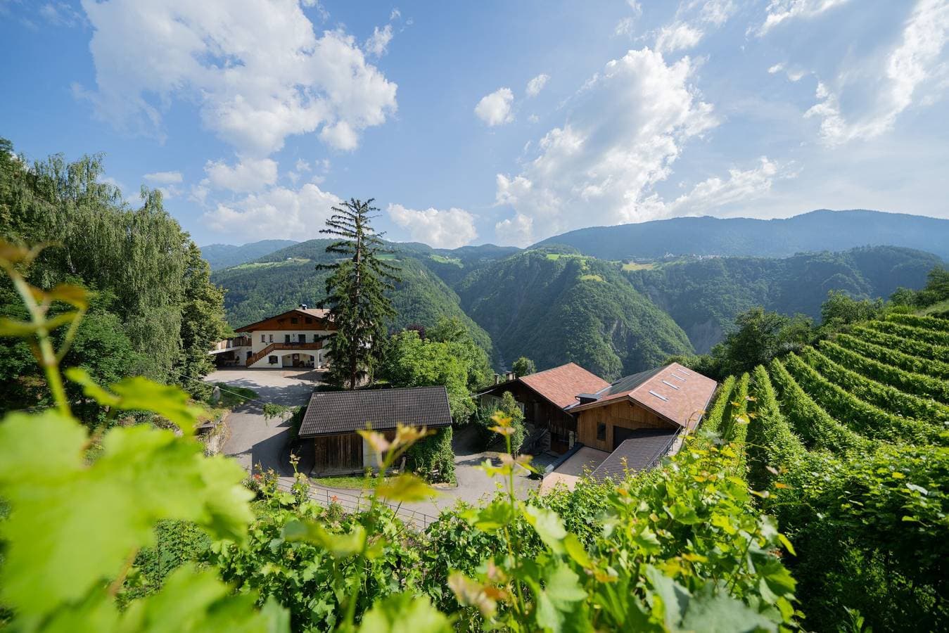 Foto 10 von 62: Ferienwohnung 'Prackfolerhof Berty Skuber' mit Bergblick, Gemeinschaftsterrasse und Wi-Fi