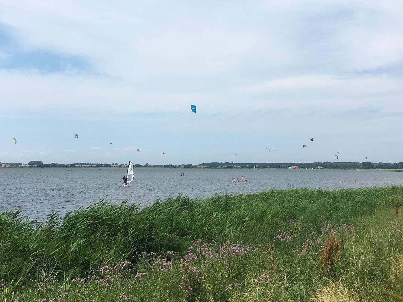 Foto 9 von 22: Fewo " Strandhaus Wiek " direkt am Wasser mit herrlichen Weitblick