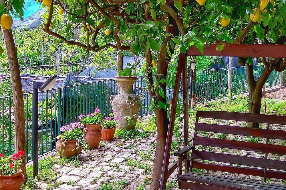 Foto 9 von 30: Limoneto di Lulù, Urlaub unter den Zitronen!
