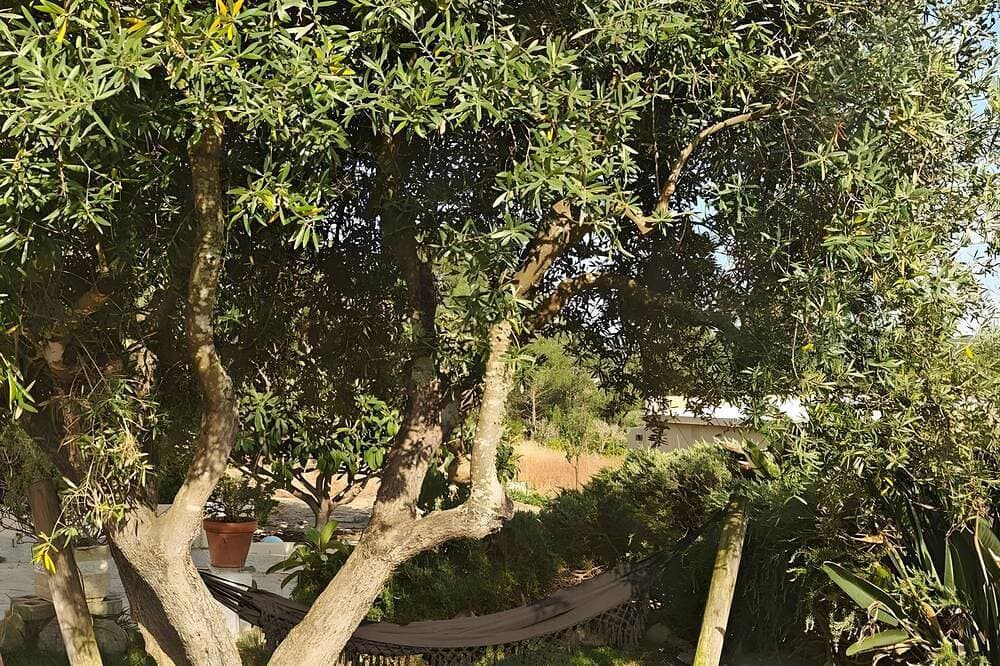 Foto 6 von 12: Ferienwohnung 'Casa Medronheiro' mit Bergblick, WLAN und Klimaanlage