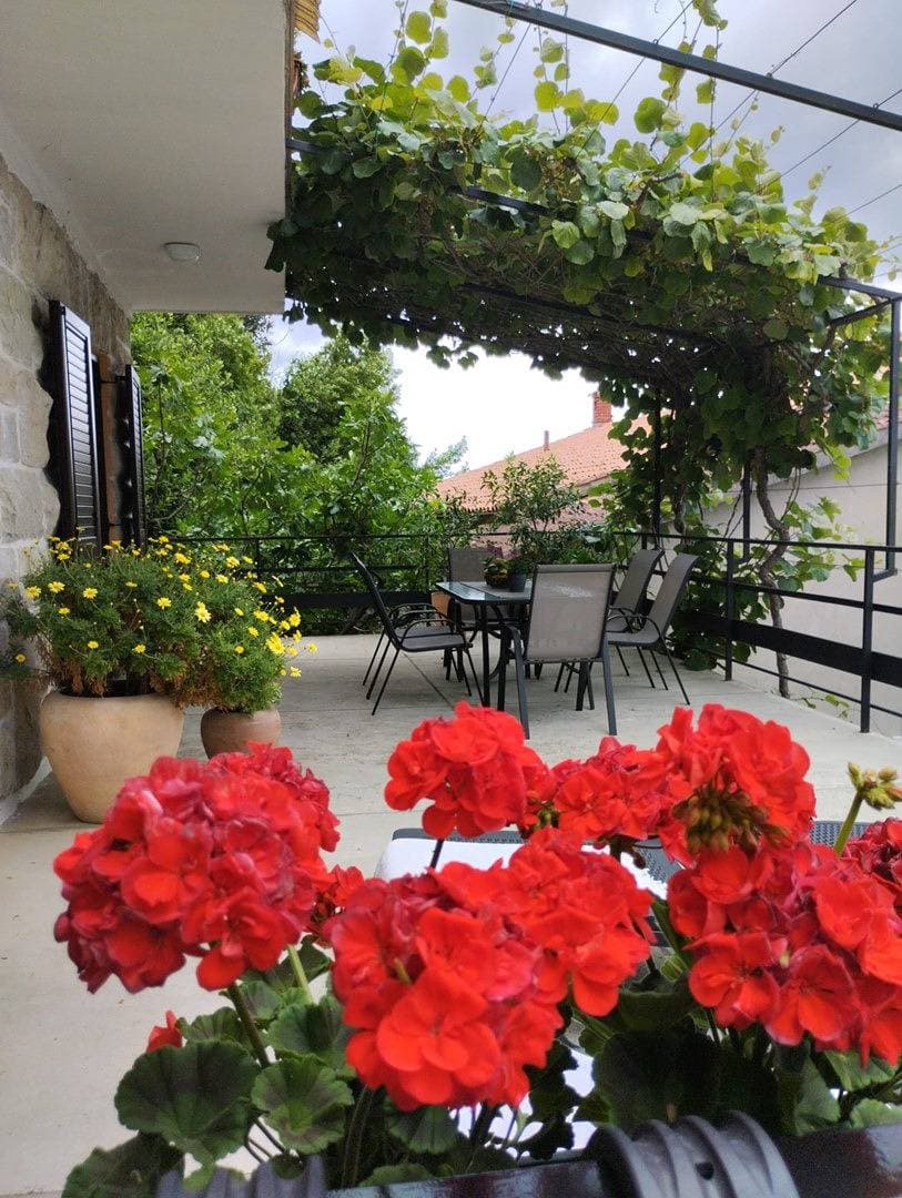 Foto 5 von 23: Cozy apartment Laura with nice terrace