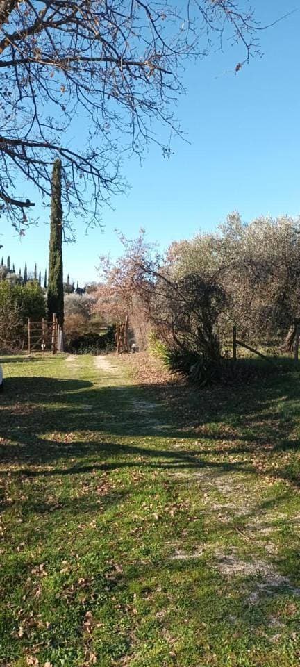 Foto 12 von 55: Villa with Garden View