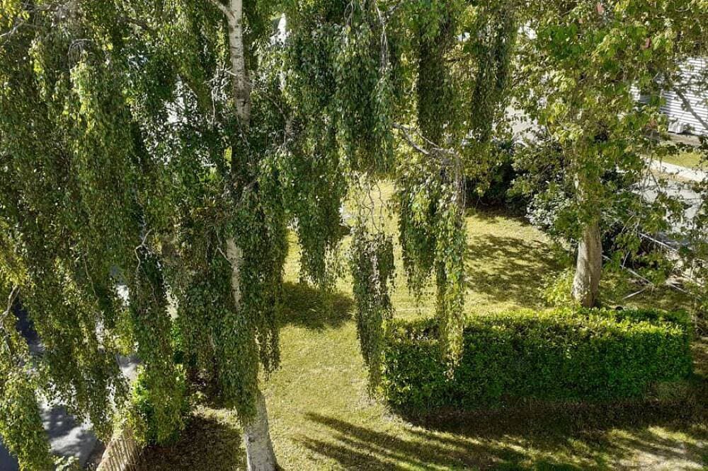 Foto 6 von 6: Appartement de 38 m2 au Sein D'une Petite Résidence Avec Jardin