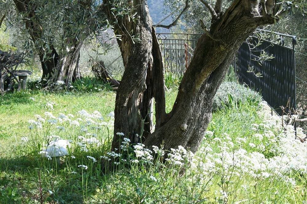 Foto 13 von 30: Olive Grove Apartment mit *** großem beheiztem Pool ***