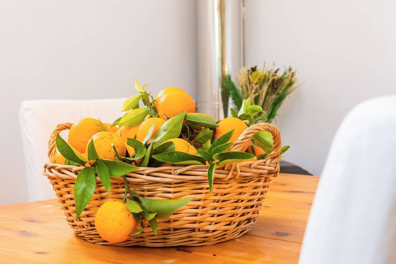 Foto 10 von 30: Ferienhaus 'Ca N'Antonia' – Erholung auf der Zitronenfarm in Sóller