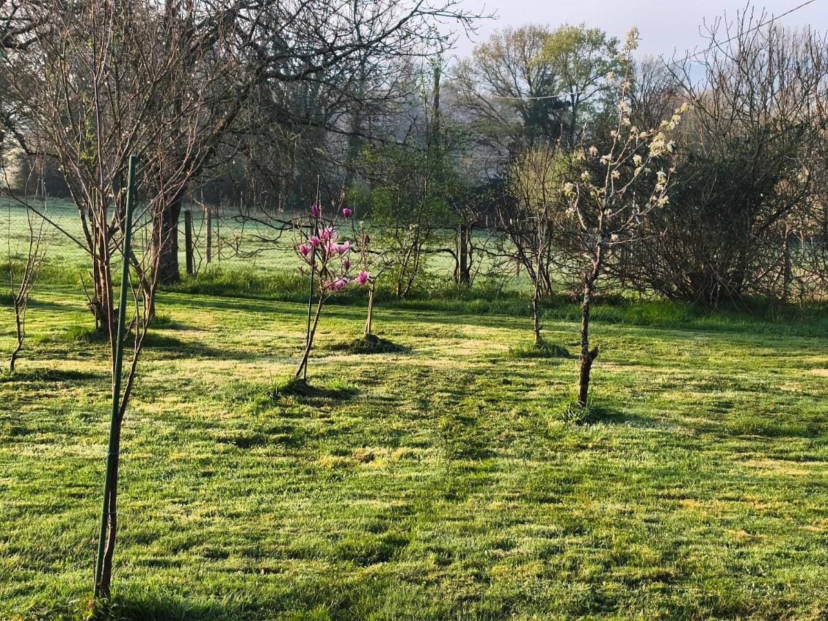 Foto 5 von 54: Double Room with Park View
