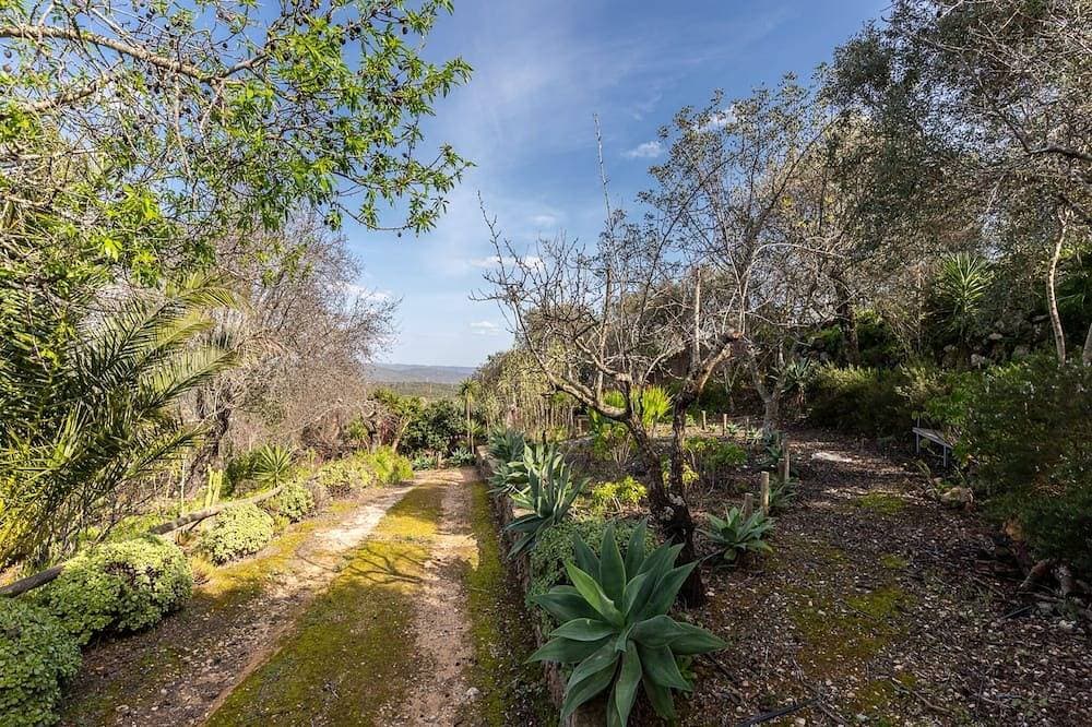Foto 12 von 23: Bartsia Yellow Villa, WiFi, Terrace !New!