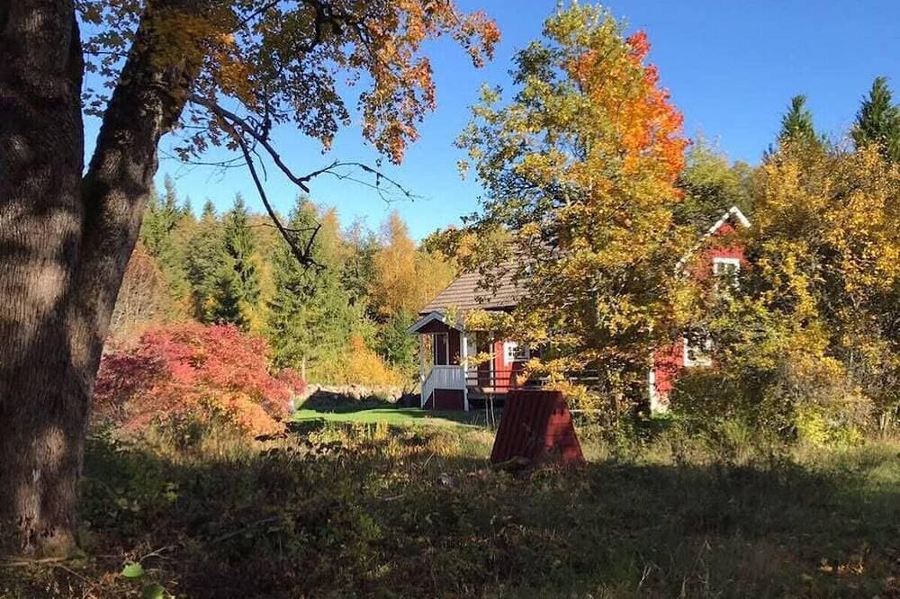Malerisches Ferienhaus in den Småländischen Wäldern unweit vom See 1