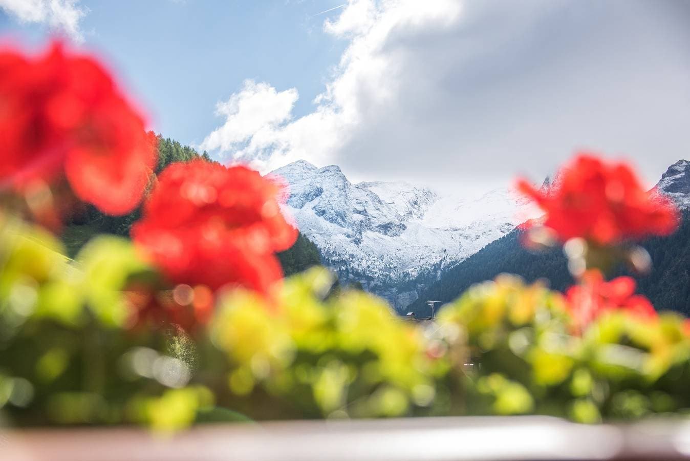 Foto 3 von 14: Ferienwohnung "Alpenblick Nr 5" mit Gemeinschaftsgarten und WLAN