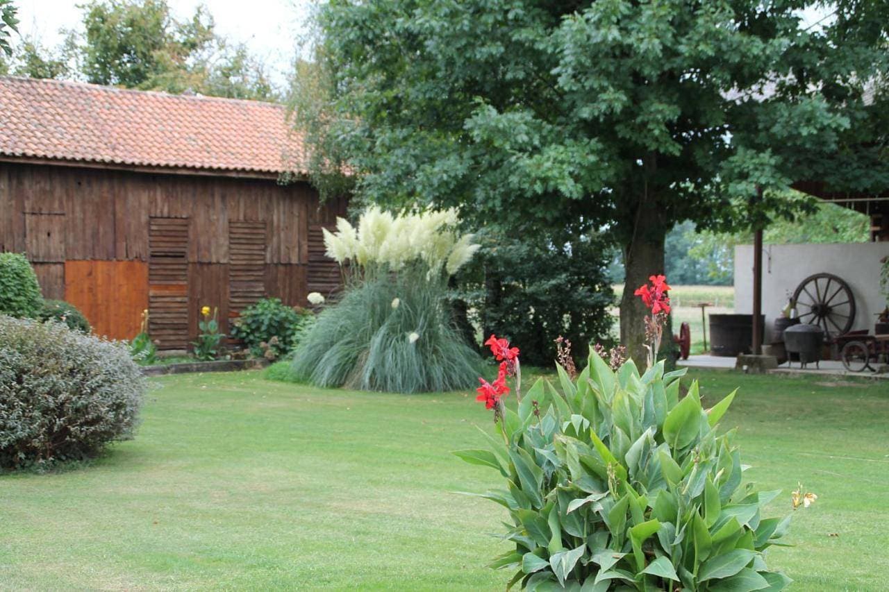 Foto 6 von 21: Double Room with Garden View no Kitchen
