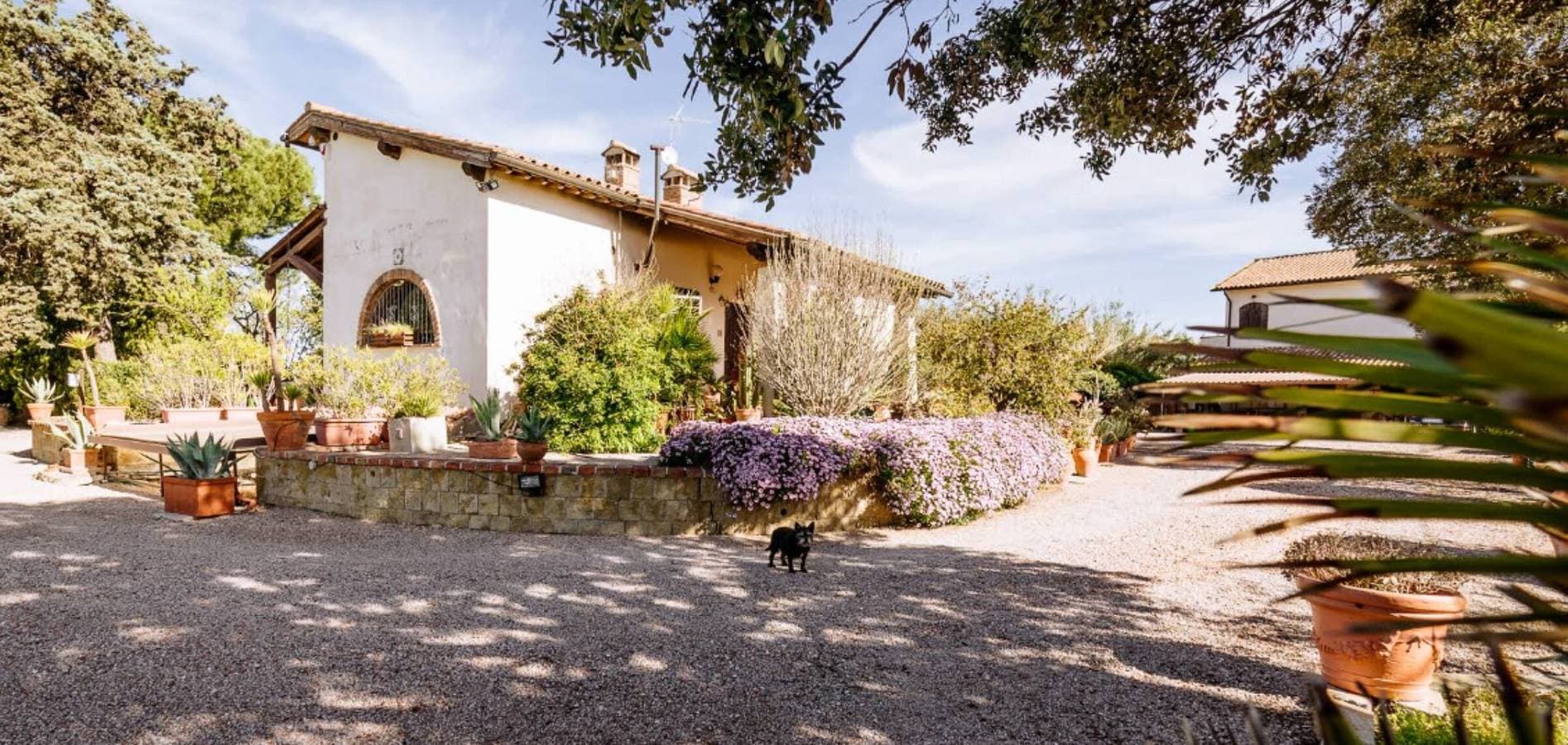 Agriturismo Podere Bellavista 1