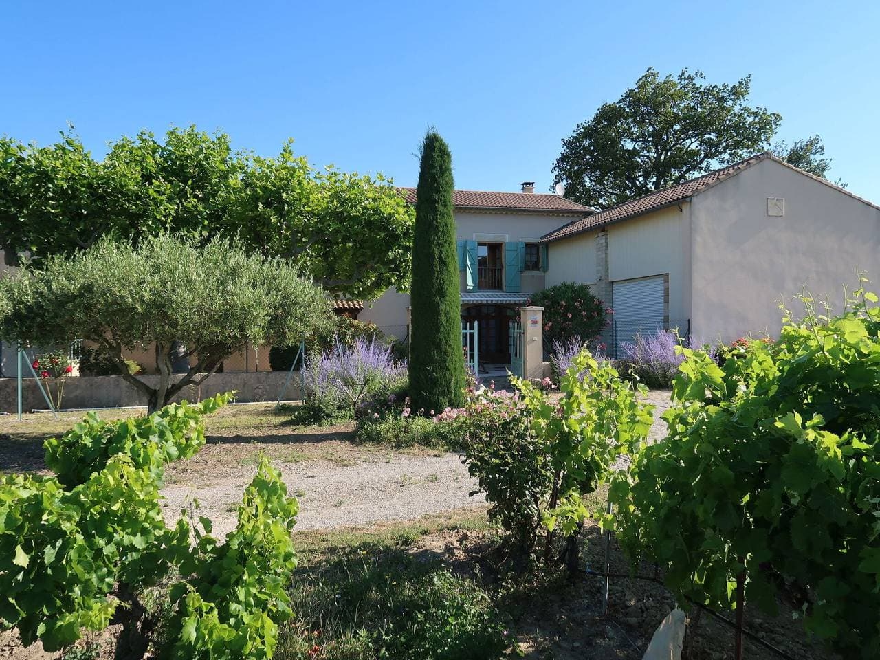 Foto 7 von 20: Le Mas - Le Mas 626.1